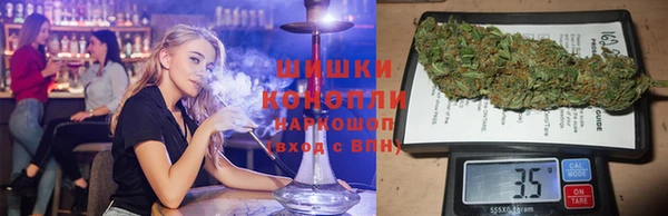ешки Аркадак
