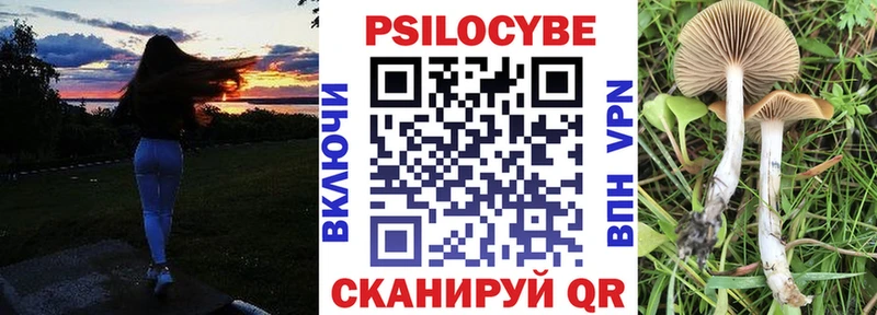 сайты даркнета формула  Михайловск  Галлюциногенные грибы Cubensis  наркотики 